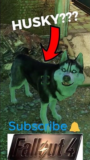 HOW TO CHANGE DOGMEAT’S BREED AND FUR COLOR IN FALLOUT 4 ANNIVERSARY EDITION🐕 #shorts