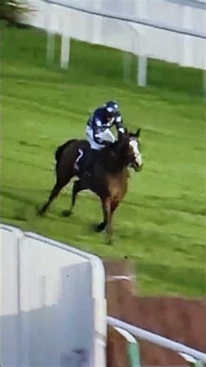 Last minute- Cheltenham Race at 1.50pm on 12 Dec 2025-BLAZE THE WAY is the Winner..