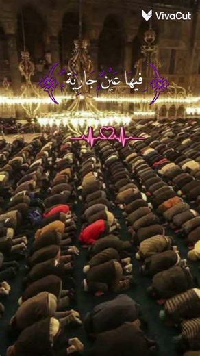 اشترك بالقناه شاكراً وليس امراً❤️‍🩹