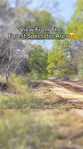 The view from the new Forest Spectator section is INSANE. You're looking at the biggest jump at the Rally Ranch and one of the biggest jumps in North American Rally. Completely flat out with almost enough air to stand under when Brandon or Roncar are in town. With the new Forest Pass, you can post up front row for the wildest rally action this side of the Mississippi. Maybe even all of America. No hyperbole intended.Rally Austin is THIS Saturday, May 10th. See you there. In the woods. Next to th