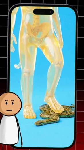 What Happens When Venom Enters Your Body?