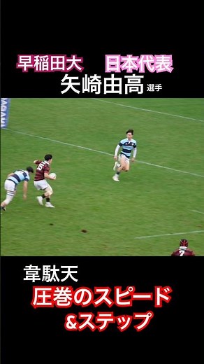 追いつけないスピード!早稲田大 矢崎由高選手！大学ラグビー選手権大会 早稲田大学vs関東学院大学