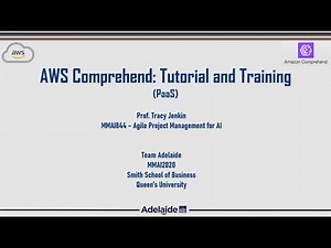 AWS Comprehend: Tutorial & Training