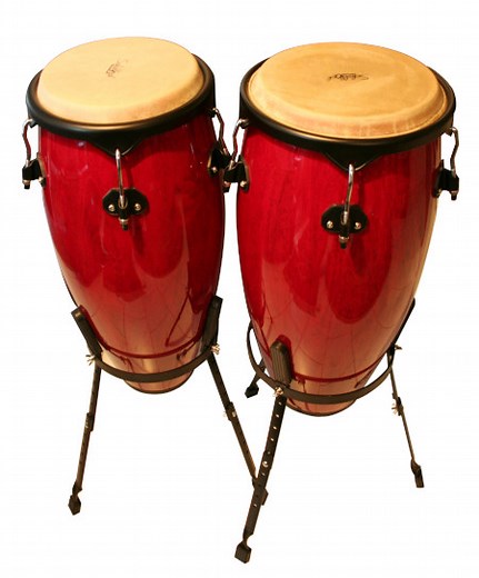 Las Congas | Información, Tipos y Clasificación