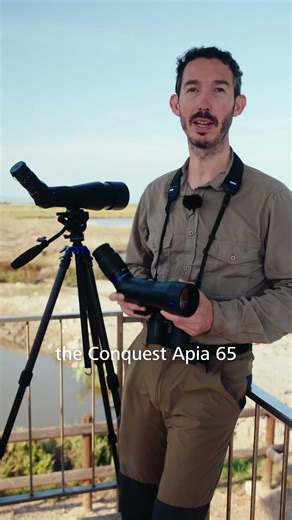 Bigger Isn’t Always Better 👀 | Javier Explains