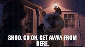 806626a7-c92c-4ca3-93fc-b3f150517748