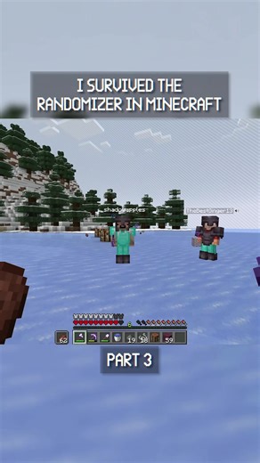 I Survived The Randomizer In Minecraft! Part 3 #minecraft #wisp #mcyt #minecraftbut