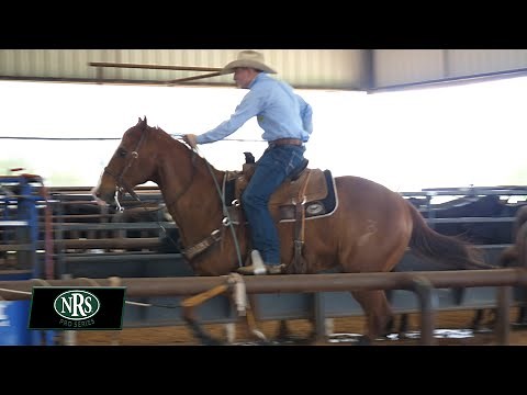 Heading Cattle & Steers with Chad Masters Team Roper - NRS Pro Series