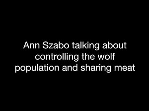 Kaska Conversations: Controlling the wolf population and sharing meat