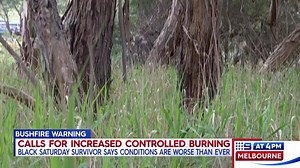 11K views · 64 reactions | The bushfires which took lives and...