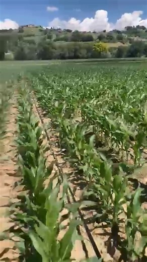 3.8K views · 33 reactions |  Here's how one of our customers works...