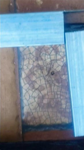 ARTES EN METAL EN VIVO, PELOTA, REPUBLICA DOMINICANA, CLASICO MUNDIAL, ALOFOKE, LAPIZ, TRUMP, JEY.C