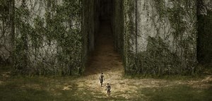 Neuer Überlebenskampf: Hier ist der erste Trailer zu "The Maze Runner" | Moviebreak.de
