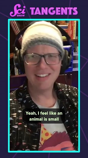 "I can be afraid of a goose." #hankgreen #podcastclips #scishow #scish...