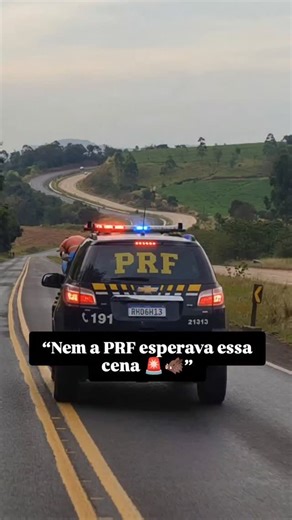 Sena IA Mind on Instagram: "🐎🚔 Quando a estrada vira cena que ninguém acredita… A viatura da Polícia Rodoviária Federal seguia pela rodovia, tudo dentro da normalidade… até que, logo à frente, surge uma cena inusitada. Um homem adulto, visivelmente bebinho, montado em um cavalo, quase deitado sobre a sela, seguindo tranquilamente pela estrada. A viatura se aproxima, as luzes ligadas, e a equipe faz a abordagem com calma e respeito. Nada de confusão. Nada de susto. Pelo contrário: a PRF dá todo