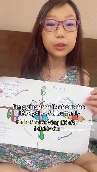 Butterfly Life Cycle Presentation with Mind Map