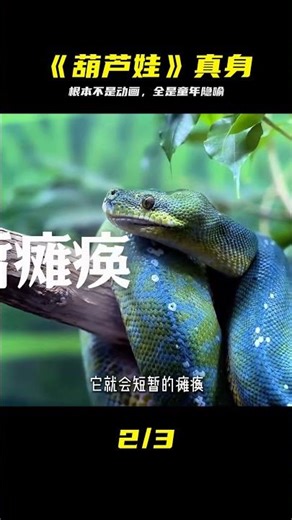 《葫蘆娃》根本不是動畫片，里面的隱喻大家小時候根本看不懂！ #一剪到底# #葫芦娃，童年隐喻，深度解析，动画彩蛋，童年回忆