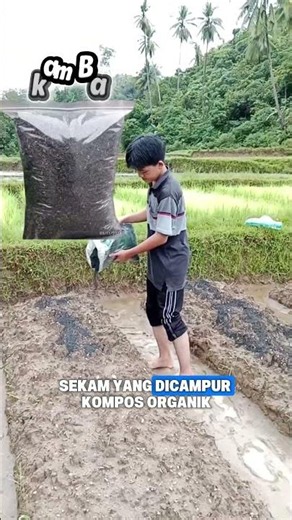 How to Raise Soil pH Without Dolomite