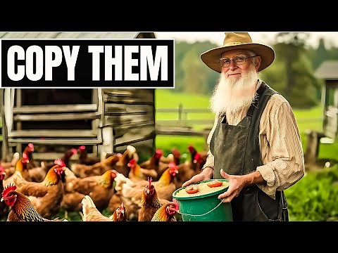 How Amish Feed and Raise Farm Animals Without the Feed Store