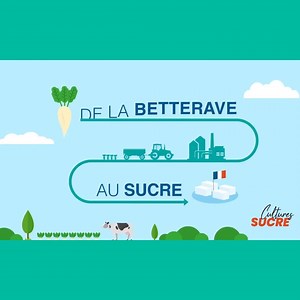 14 reactions |  Aujourd’hui Miss Better vous fait découvrir les 8...