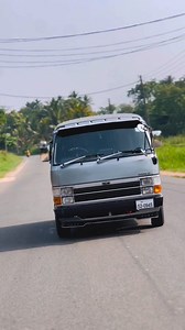 Shell 🤩🥰 Sri Lankan Van Pisso SLVP #slvp #slvpmember | Sri Lankan Van Pisso SLVP
