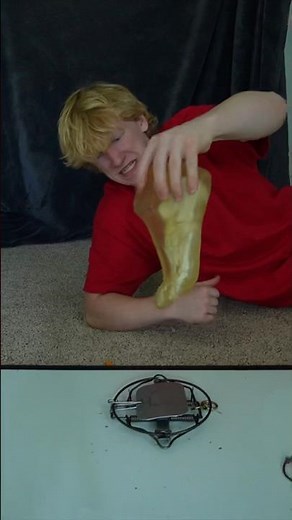 What Happens If You Step On A Grizzly Bear Trap?