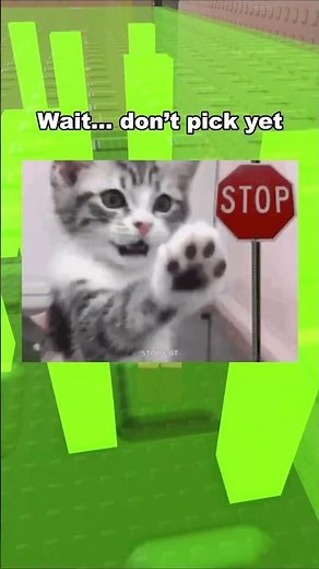 Don’t Pick the Wrong Key🤯#roblox #robloxshorts #rblx