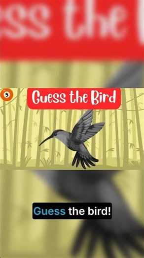 What Do You Know About HUMMINGBIRD Facts?
