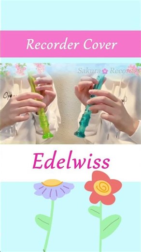 Edelweiss 🎵 Recorder Duet (played by me) #classicalmusic #recorder #recordercover #shorts
