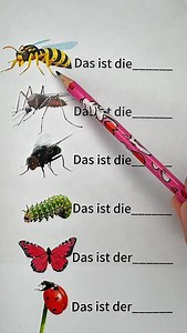 Butterfly in German 🦋| Easy German Words #deutschland #deutschlernen #deutsch #german #lernen | Deutsch lernen