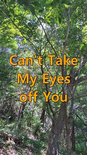 ○ Can't Take My Eyes off You - Frankie Valli ○ #7080 #pop #Old Song #Music #추억의팝송