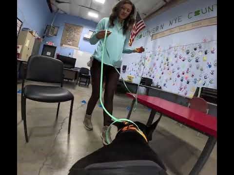 (Novice A) Interior - AKC Scent Work