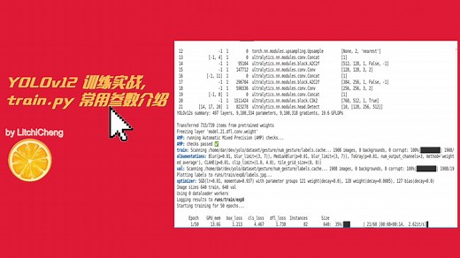 YOLOv12 训练实战，train.py 常用参数介绍