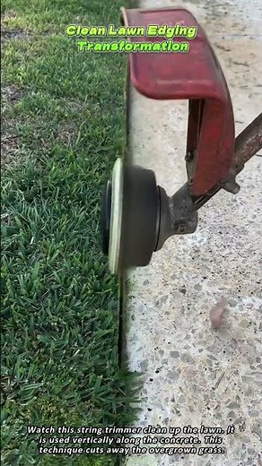 Clean Lawn Edging Transformation