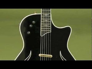 Guitar Gallery presents Taylor T5-C