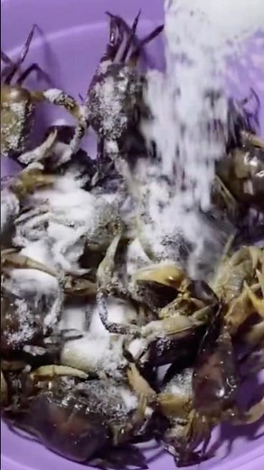 Making Yummy Sour Pickled Crab | Simple & Flavorful Cambodian-Style Recipe#food