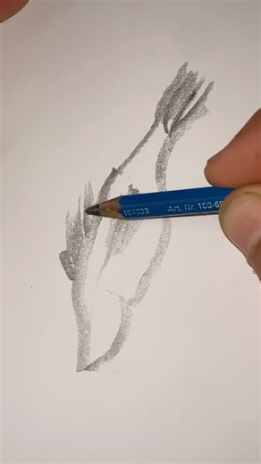 Drawing a fish with a pencil ✏️ #fish #art #pencildrawing #shorts