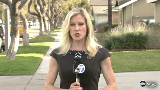 Car Thieves' Hi-Tech Gadgets Baffle Police