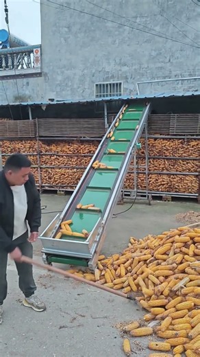 Portable Folding Belt Conveyor for Easy Movement. #shorts