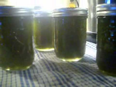Jalapeno Jelly