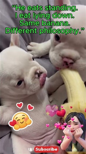 One Banana. Two Dogs. Zero Manners.