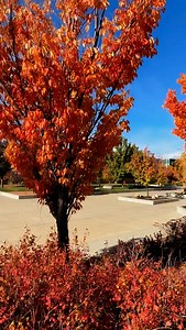 2.4K views · 189 reactions | Fall-ing for these campus views.  #WeberState #Ogden #Utah #CollegeCampus #Fall | Weber State University | Facebook