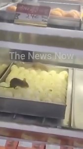 #Viral Rats were seen running on sweets in a sweet shop | The News Now