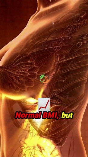 Normal Weight Obesity? See How Protein Alone Recomps Bodies in 12 Weeks!