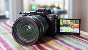 Sony A7 V review: Awesome speed and photo quality