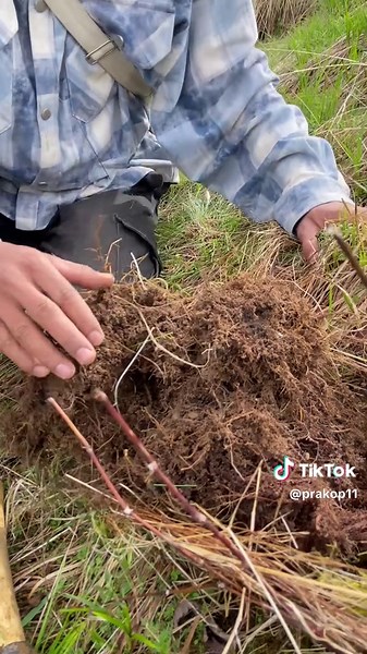 #lakeside #Lasun#life