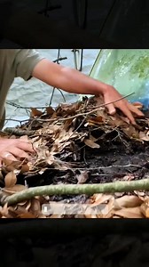 1.3K views · 15 reactions | Part 1.Awakening The Beast - Ford F250 1974 Resurrected From The Deep Forest #build #building #restoring #fixingcars #transformation #construction #fordf250 #custom #engine #classiccar | Ford Engine Projects | Facebook