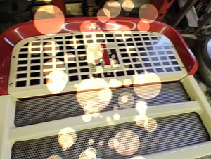 Red Line Fever Pulling Team on Reels