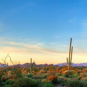 7.3K views · 35 reactions | At Vistancia in Peoria, you'll find...