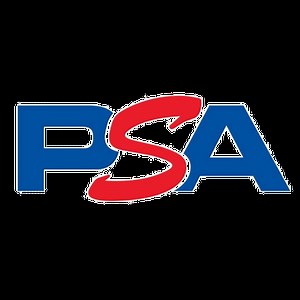 PSA Grading Service - Flash Cards